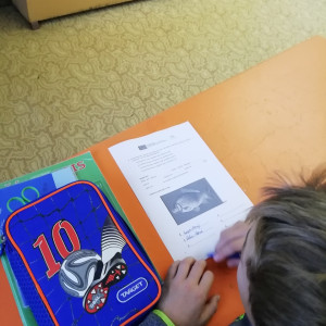 IKAP 8.10.2019, 7.C - Pp