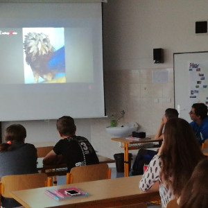 IKAP 26. 11. 2019 8.A - Aj