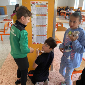 Projekt Plýtvání jídlem