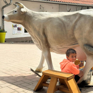 Výlet prvňáčků - ZOO Na Hrádečku