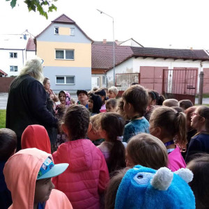 Vycházka s panem Valešem